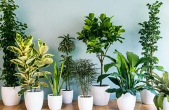 Green Bubble : personnalisez vos vêtements et accessoires avec des créations uniques