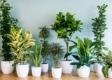 Green Bubble : personnalisez vos vêtements et accessoires avec des créations uniques